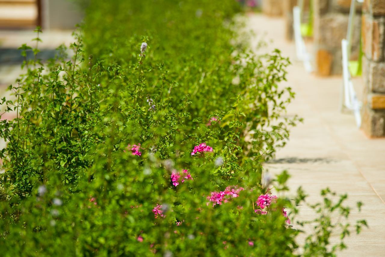 לימנריה Olive Land Villas מראה חיצוני תמונה